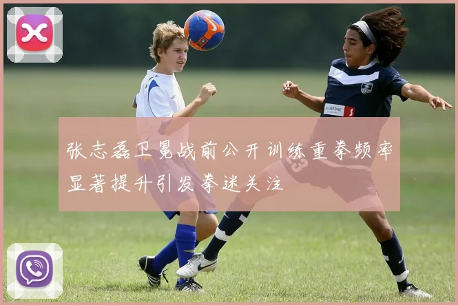 张志磊卫冕战前公开训练重拳频率显著提升引发拳迷关注