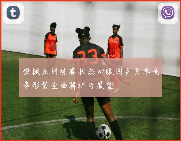 樊振东训练赛状态回暖国乒男单竞争形势全面解析与展望